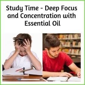 Focus and Concentration Diffuser Blend : Study Time