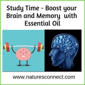 Brain Booster and Memory Enhancer 